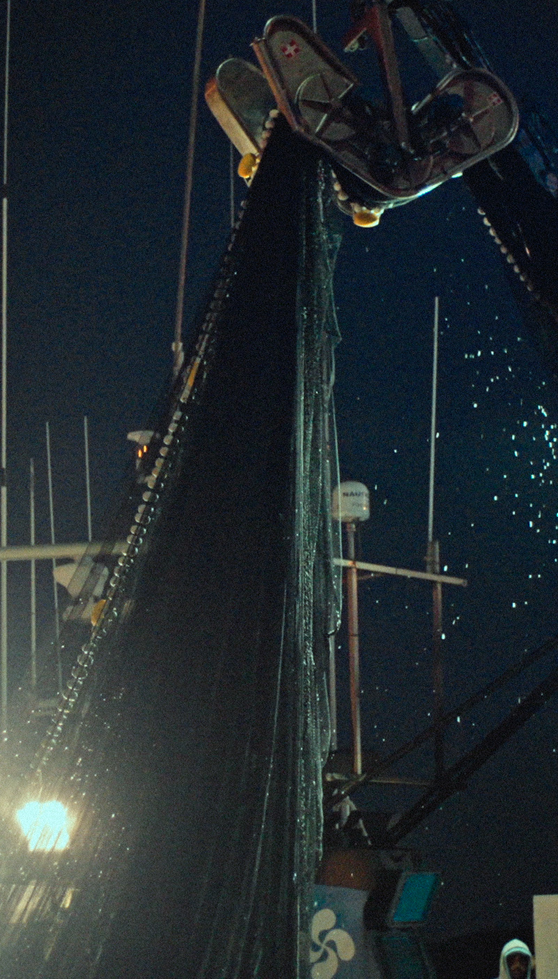 MSC-Agradecidos_2022