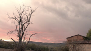 El Aroma del Silencio largometraje documental