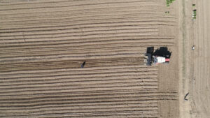 El Aroma del Silencio largometraje documental